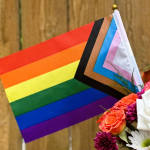 Mini Pride Flag