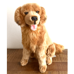 Jack Golden Retriever