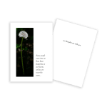 Dandelion Sympathy Card