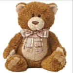 Brown teddy bear with a plaid bow on a white background