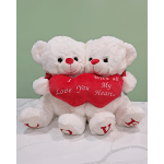 Two white teddy bears holding a red heart pillow with love text