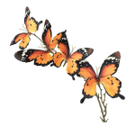 Monarch Multi Butterfly pick