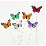 Single Butterfly pick