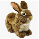 Brigid the Brown Rabbit