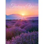 Full Sized Leanin Tree Greeting Card