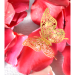 Medium Gold Butterfly