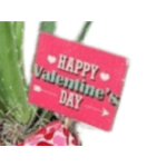 Valentine's Day Wood Pick