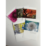 Greeting Card- Sympathy