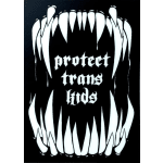 Protect Trans Kids Sticker