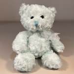 Light Blue Plush Bear