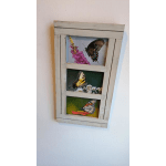 Closed Wing Butterfly Photo