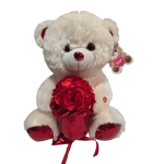 Teddy bear 13 in
