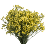 Filler Flower Yellow