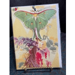 Vintage Green Moth Bookmark Card