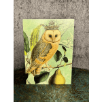"Royal Owl" Card