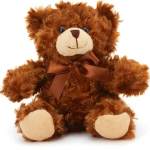 Chocolate Brown Bear Plush