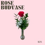 1 Red Rose in a Budvase