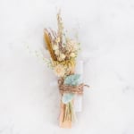 Mother Nature / Cleaning Kit