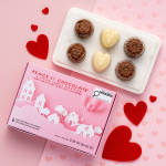 6 piece assorted chocolate