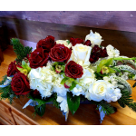 Tropical Winter Snow...