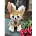 Fennec Fox