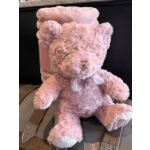 Teddy Bear Blanket Combo