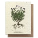 Lavender Plantable Wildflower Seed Card