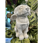 Sorry for your loss angel dog