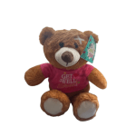 get well teddy bear