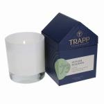 TRAPP Fragrances - Vetiver Seagrass Candle with House Box