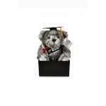 Grad teddy bear