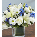 Blue and white cube arrangement