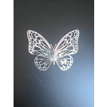 Silver Butterfly