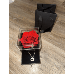 PRESERVED NATURAL ROSE