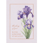 Full Size Greeting Card Sympathy