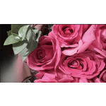 12 pink roses wrapped bouquet