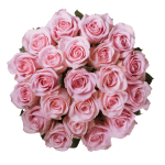 24 pink roses wrapped in floral paper