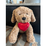 Valentine's Dog with Heart