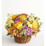 Anastasia Brooks Basket of spring