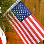 Mini American Flag