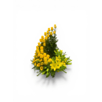 Yellow Rose Spiral Cremation Wreath