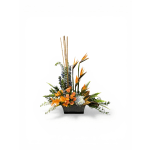 A Touch of the Tropics