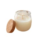 Soft Cashmere Soy Candle