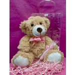 Valentine's Teddy Bear