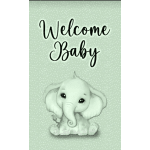 Welcome Baby Greeting Card