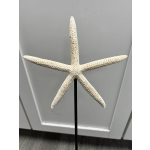 Starfish Pick- Large