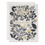 Congratulations Blank Card