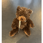 Small Brown Teddy Bear