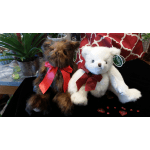 Medium Premium Quality Teddy Bear