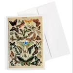 Vintage Butterfly Card